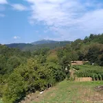 Hotel Palia's
