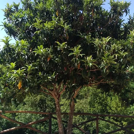 Palia's 3* Laino Borgo