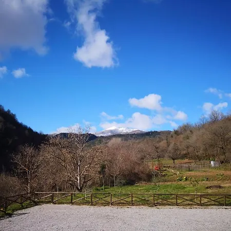 Palia's Laino Borgo